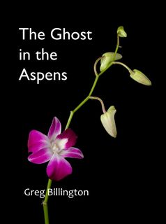 The Ghost in the Aspens
